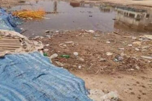 شبوة تغرق في الصرف الصحي.. والحميات الفيروسية تحاصرها
