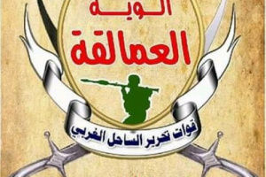 قائد ألوية العمالقة: يجب إسقاط إتفاق السويد سياسياً كي نسقط الحديدة عسكرياً