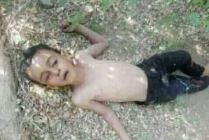 مواطن يقتل نجل شقيقه بسبب خلافات بينهم في الحديدة