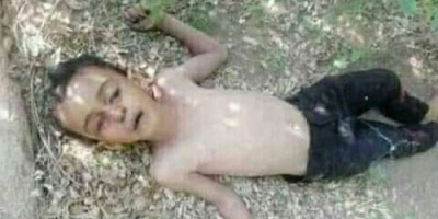 مواطن يقتل نجل شقيقه بسبب خلافات بينهم في الحديدة