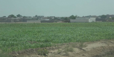 القوات المشتركة ترصد7 طائرات إستطلاع حوثية في سماء الحُديدة 