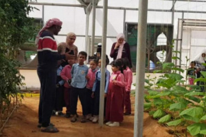 خليفة الإنسانية تطلق مبادرة لتشجير مدارس سقطرى 