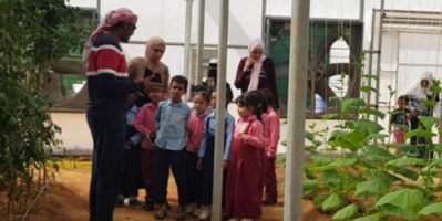 خليفة الإنسانية تطلق مبادرة لتشجير مدارس سقطرى 