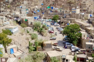 شخص يُنهي حياة شقيقه بالرصاص في حالمين
