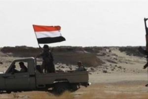 ناشط جنوبي يعلق على خسائر جيش الإخوان في معارك مأرب