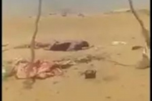 جثث ميليشيا الحوثي في مأرب تثير القلق 