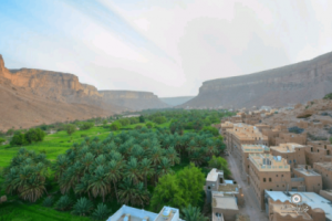 جرائم القتل تطفو على السطح في وادي حضرموت