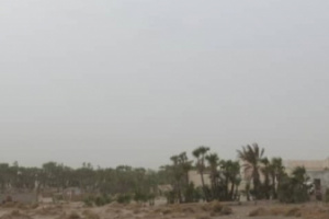 بالأسلحة الثقيلة..مليشيات الحوثي تقصف منازل المدنيين في الفازة