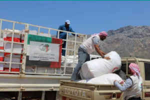 سقطرى وإمارات الخير.. إغاثات الشيخ خليفة تعيد تطبيع الحياة 