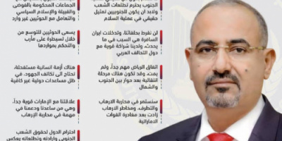 الرئيس الزبيدي ل CNN: لا سلام بدون حل حقيقي لقضية الجنوب