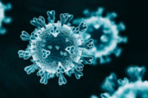 أخر مستجدات فيروس كورونا في وادي حضرموت 