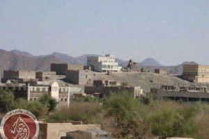 قادمين من مأرب.. انتشار عناصر إرهابية في مديرية مرخة بشبوة 