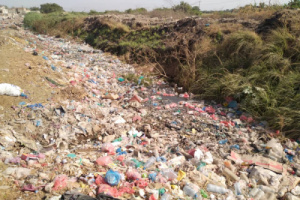 انتشار البعوض يُحاصر مواطني أبين