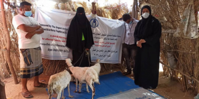 جمعية "معاً نرتقي" تنفذ مشروع توزيع الأغنام على 45 أسرة في مناطق شقرة
