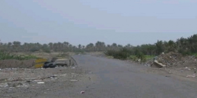 مليشيات الحوثي تستهدف منازل ومزارع المواطنين في الفازة 