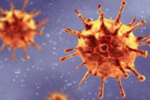 لجنة كورونا: تسجيل 46 إصابة جديدة بالفيروس 