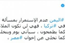 الزعتر لإخوان اليمن: انتظروا تخلي أردوغان عنكم 