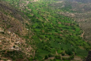 الوباء يفتك بالمديرية..عمال القطاع الصحي في الازارق يناشدون السلطة المحلية والمجلس الانتقالي انقاذ المديرية 