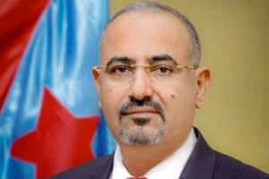 الرئيس الزُبيدي يصدر قراراً بشأن تعيين الهيئة التنفيذية لمنسقية المجلس الانتقالي في جامعة أبين