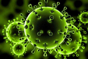 لجنة كورونا ترصد 30 ضحية جديدة للفيروس