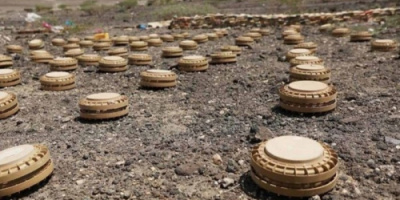 مسام يفكك 8318 لغمًا وذخيرة حية في مايو