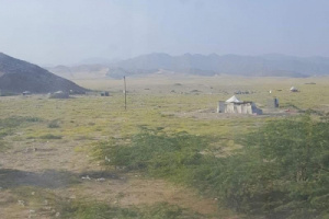 مليشيا الإخوان تهجّر مربي النحل بسلا في أبين