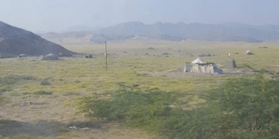 مليشيا الإخوان تهجّر مربي النحل بسلا في أبين