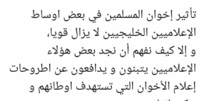 لقور يحذر من خطر الإعلاميين الخليجيين التابعين للإخوان