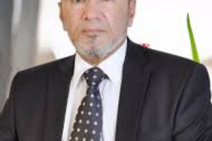 أكاديمي: الإخوان يبثون الشائعات لشغل المواطنين عن النازحين