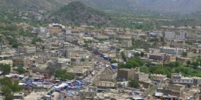 شاهد .. الضباع تغزو هذه المحافظة باعداد كثيفة وتثير رعبا بين المواطنين بهجماتها المفترسة (صور)