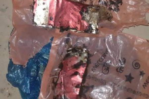 الأجهزة الأمنية تضبط مدمن حشيش متلبسًا داخل سيارته في المكلا