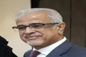 ناشط سياسي: حل الدولتين ينهي الحرب ويحقق مصالح الشعبين