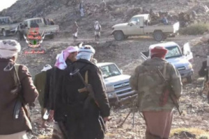 ألوية العمالقة تشارك في عملية تحرير الزاهر بالبيضاء