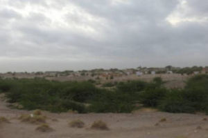 مليشيات الحوثي تستهدف القرى السكنية في الجبلية بالأسلحة الرشاشة