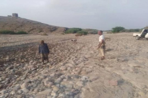 أبين.. أهالي الدرجاج يبادرون في بناء حواجز لاحتواء السيول 