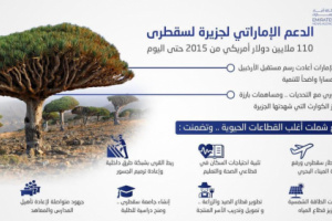 تعرف على دعم الإمارات لجزيرة سقطرى منذ العام 2015