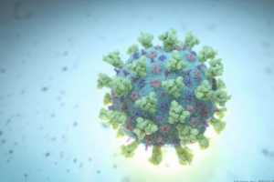 دون وفيات.. رصد 26 حالة إصابة جديدة بفيروس كورونا بعددا من المحافظات