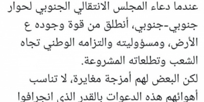 الربيزي: دعوة الانتقالي لحوار جنوبي التزام وطني