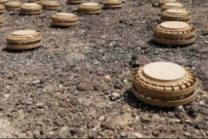 مسام : تفكيك 1469 لغما مضادا للدبابات الأسبوع الماضي