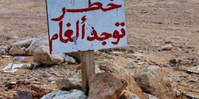 الفرق الهندسية تعثر على حقل ألغام حوثية بمساحة واسعة بالحديدة
