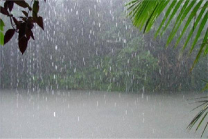 أمطار على هضاب محافظات الجنوب غداَ
