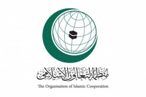 التعاون الإسلامي يطالب بموقف دولي تجاه جرائم مليشيا الحوثي 