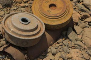 نزع أكثر من 1300 لغماً حوثياً خلال أسبوع