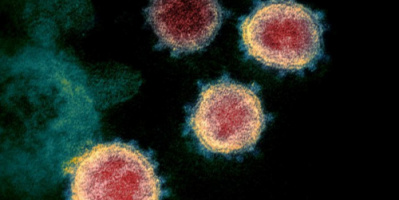8 حالات وفاة و 31 إصابة جديدة بفيروس كورونا 