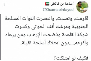 بن فائض: القوات الجنوبية تحقق انتصاراتها بأسلحة خفيفة
