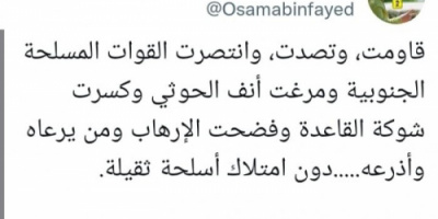 بن فائض: القوات الجنوبية تحقق انتصاراتها بأسلحة خفيفة
