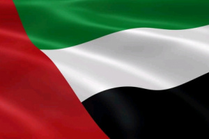 الإمارات تستنكر هجمات مليشيا الحوثي الإرهابية على السعودية 