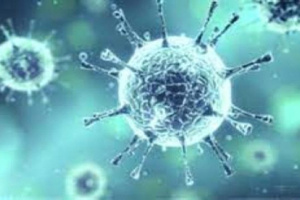 6 حالات وفاة و 38 إصابة جديدة بفيروس كورونا 