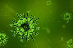 7 حالات وفاة و 34 حالة إصابة جديدة بفيروس كورونا 