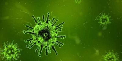7 حالات وفاة و 34 حالة إصابة جديدة بفيروس كورونا 